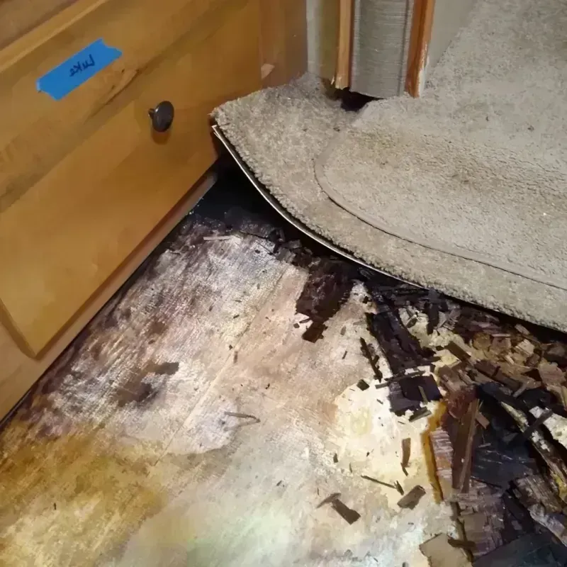 Best Wood Floor Water Damage Service in Wabasha County, MN